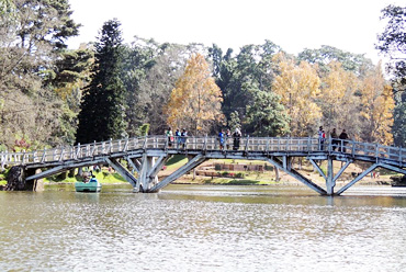Ward's Lake Shillong