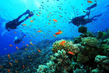 Water Sports in Goa