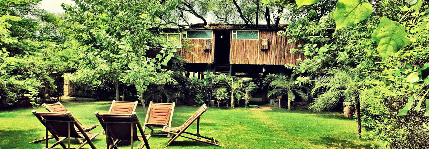 Tree House Resort, Jaipur