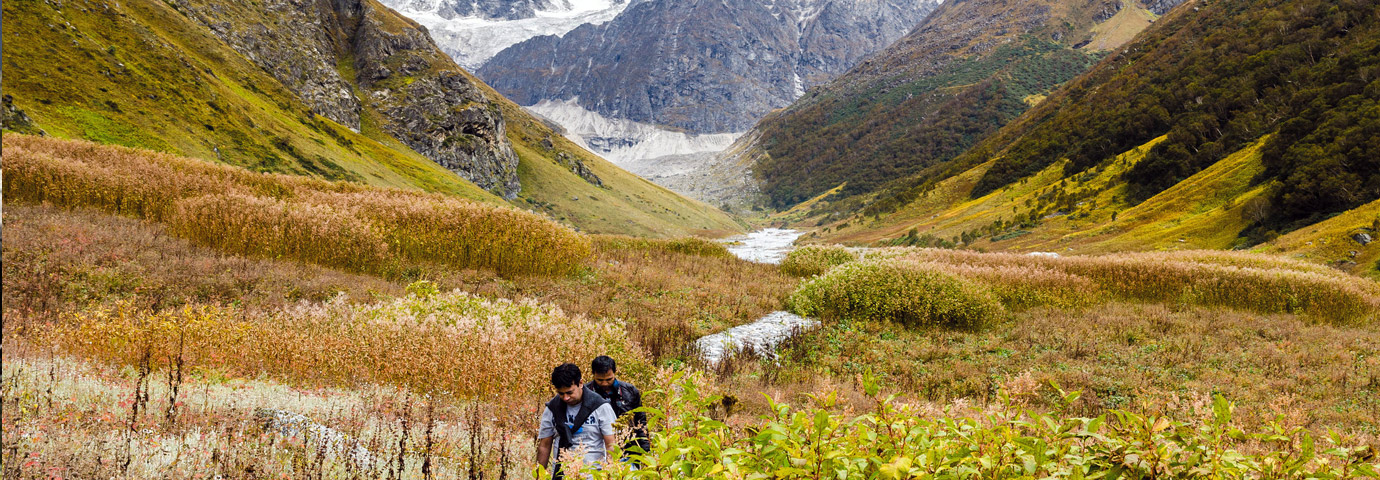 Valley of Flowers Trek