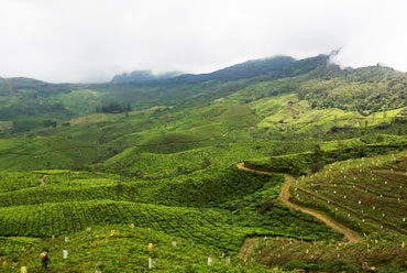 Devikulam