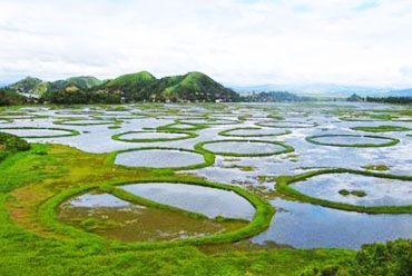 Imphal