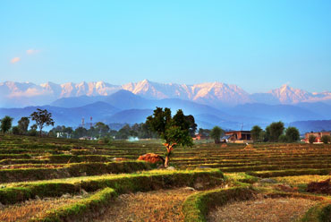 Kangra