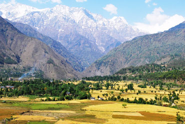 Palampur