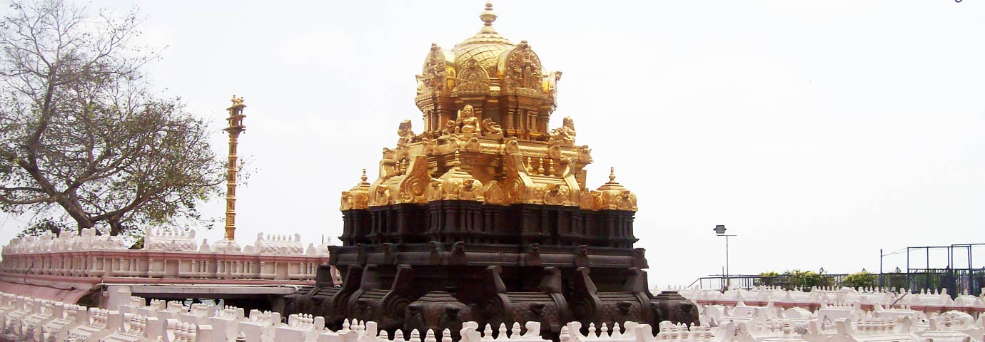 Vijayawada 