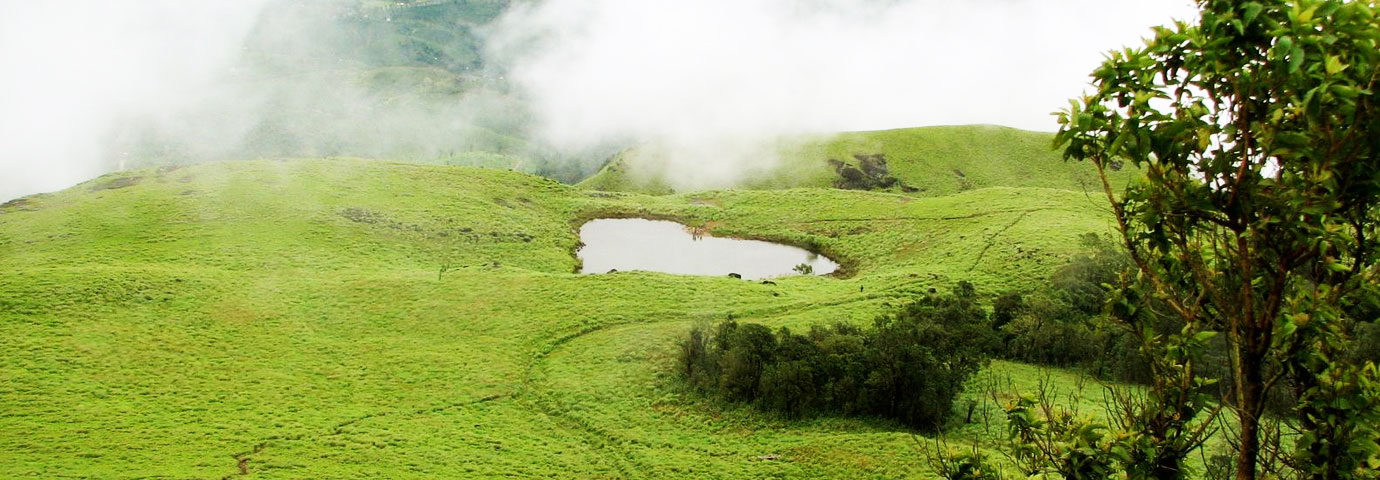 Wayanad